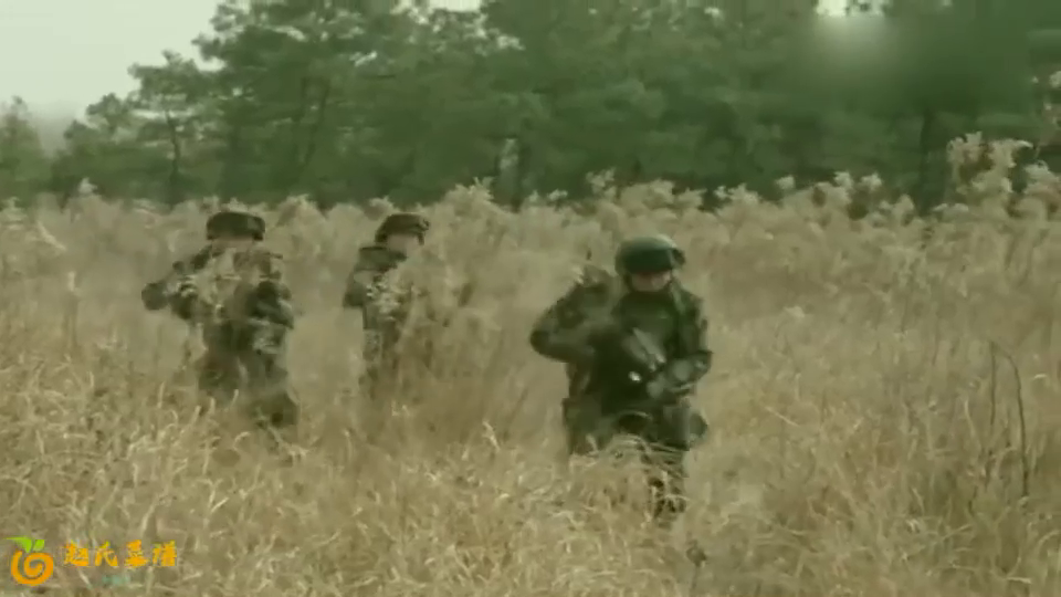  比勒菲尔德顽强拼搏精神，逼平豪门展现韧性